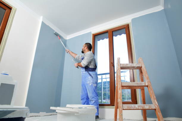 Best Mold Damage Restoration  in Kingstown, MD