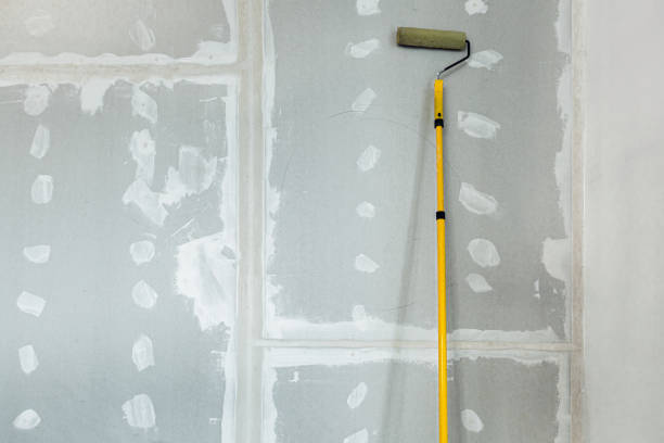 Best Emergency Mold Remediation  in Kingstown, MD
