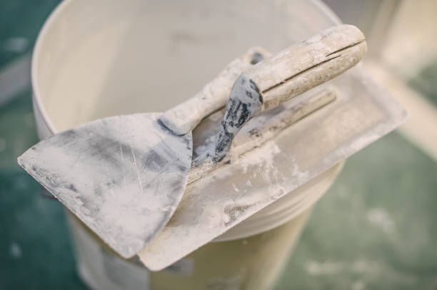 Best Black Mold Removal  in Kingstown, MD
